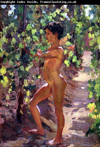 Carleton E.Watkins Study for Boys picking grapes at Capri